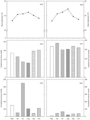 Propyrisulfuron plus cyhalofop butyl as one-shot herbicides provide high weed control efficiency and net economic performance in mechanically transplanted rice